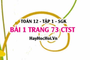 Bài 1 trang 73 Toán 12 tập 1 Chân trời sáng tạo